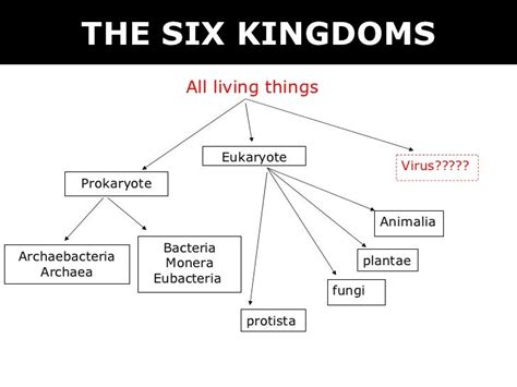 03 6 kingdoms + prokaryote & eukaryote