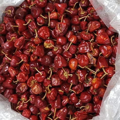 Fresh Red Chilli Grade: Cooking Spices at Best Price in Bhopal | Gkd Kasde Brother Group