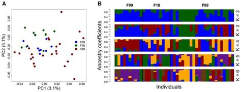 Intensive whaling did not rob the fin whale of its genomic diversity