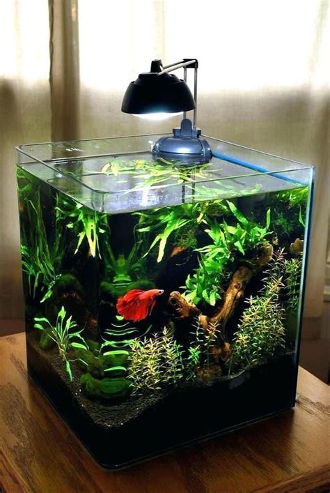 15 Prachtige Aquarium Design-Ideeën voor Binnen Decoratie | Betta ...