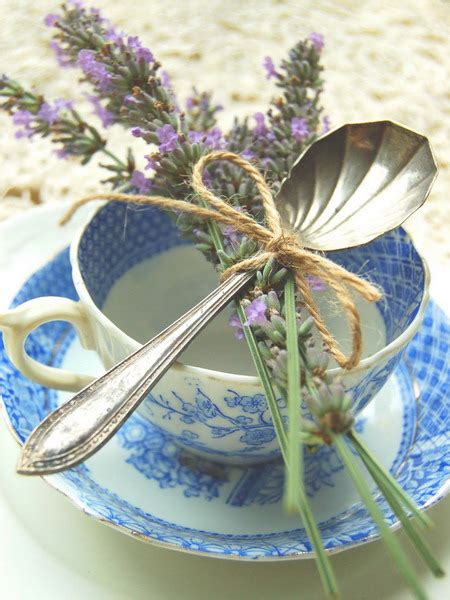 Picture Of Lavender Home Decorating Ideas