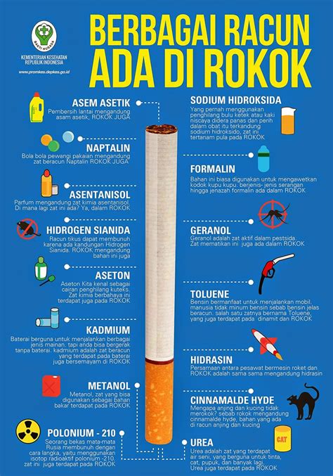 Berbagai Racun Dalam Rokok - Infografis Kesehatan