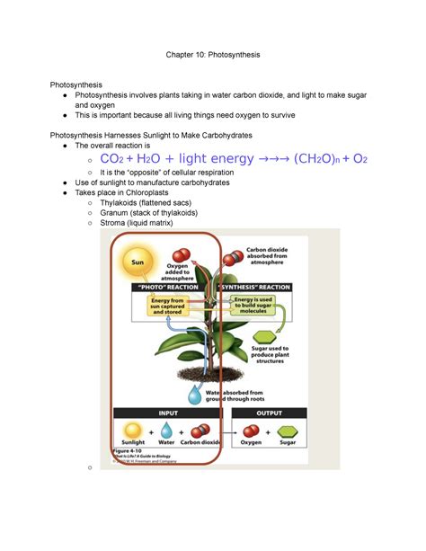 Chapter 10: Photosynthesis - Chapter 10: Photosynthesis Photosynthesis Photosynthesis involves ...