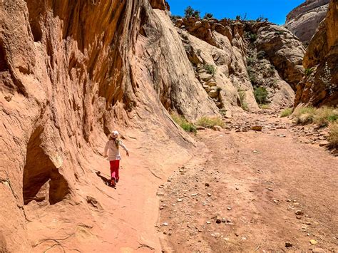 Hiking the Capitol Gorge Trail in Capitol Reef National Park - Family Can Travel