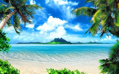Download Tropical Beach Scenes Wallpaper | Wallpapers.com