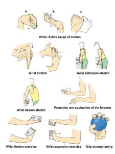 Healthy Life: Wrist Exercises (758) | Manipulative Ergonomic & Sports Physiotherapy