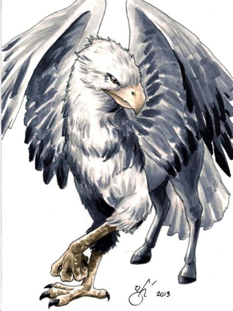 Hippogriff | Harry potter creatures, Harry potter drawings, Magical creatures