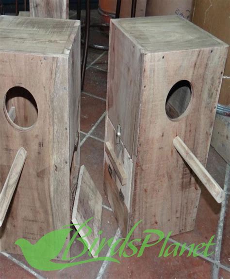 Solid Wood Breeding Box For Ringneck /rosella Breeding Box – Birds Planet