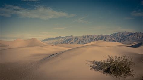 Faded Death Valley Dunes Free Stock Photo - Public Domain Pictures