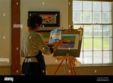 An art instructor gives lessons on painting a sunset with pastels to an ...