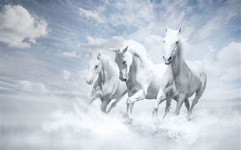 Pin by Shannon Noelle Kennedy on White | Horse wallpaper, Horses, White horses