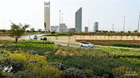 2030 Expo bid puts the making of a green Riyadh in the limelight | Arab ...