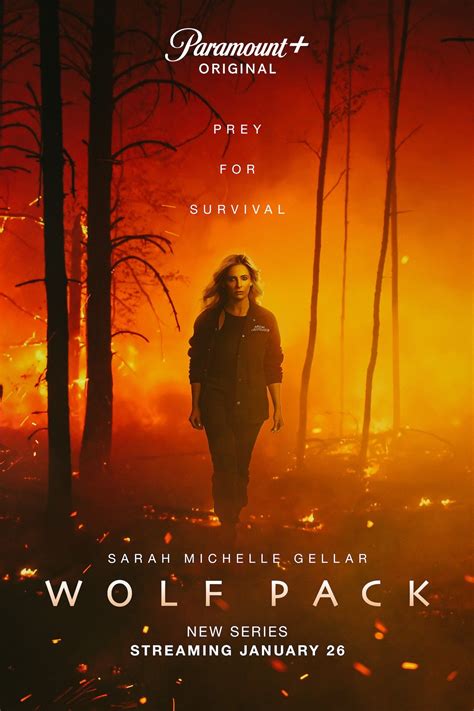 Wolf Pack Season 2 Gets Ambiguous Update Nearly One Year After Premiere