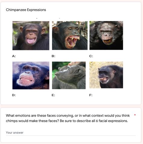 Chimpanzee Expressions A: B: C: D: E: F: F: * What | Chegg.com