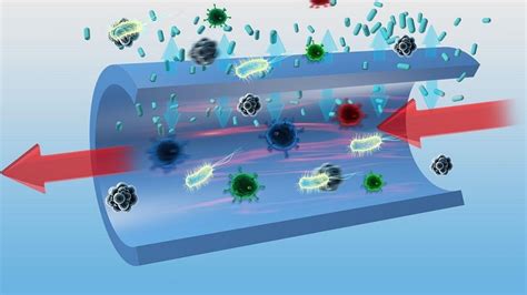 Top Key Players in the Antimicrobial Coatings For Medical Devices Market