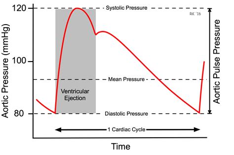 CV Physiology | Arterial Blood Pressure