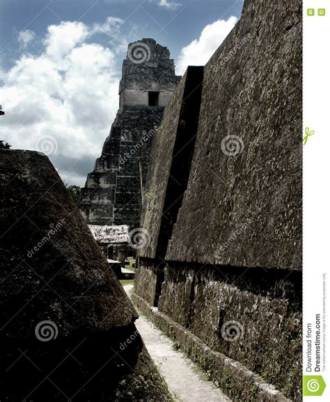 Mayan pyramids in Tikal stock image. Image of aztec, temples - 79012173