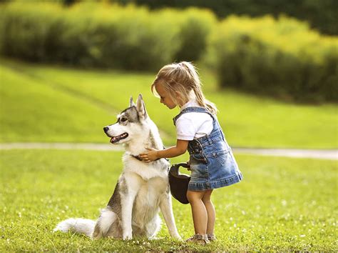 Does having a dog at home make for well-adjusted kids? - Sanford Health News