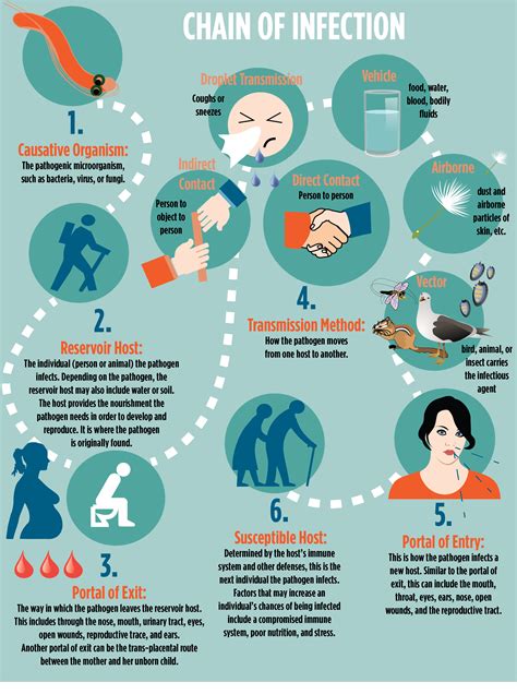 Chain of Infection Infrographic | Chain of infection, Good healthy recipes, Infections