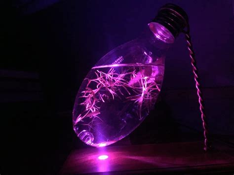 This is a night light and aquarium that is built from a light bulb ...