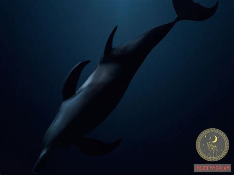 Black Dolphin Dream Meaning - Interpretations and Symbolism