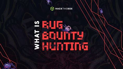 What is Bug Bounty Hunting?