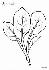 Spinach Coloring Pages Free Printable PDFs  WakeTheKids sketch template