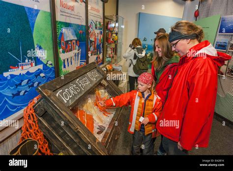 Mother and child explore exhibits at the Alaska Sealife Center, Seward, Southcentral Alaska, USA ...