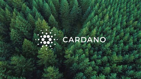 Cardano Wallpapers - Wallpaper Cave