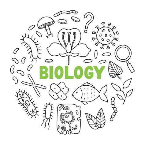 Biology doodle set. Education and study concept. School equipment, viruses, bacteria in sketch ...