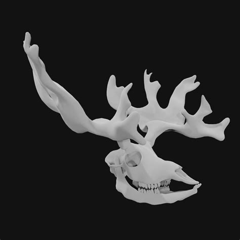 Reindeer skull 3d model Low Poly - Team 3d Yard