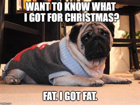 Pug Christmas Meme in 2023 | Pugs funny, Pug memes, Pug christmas