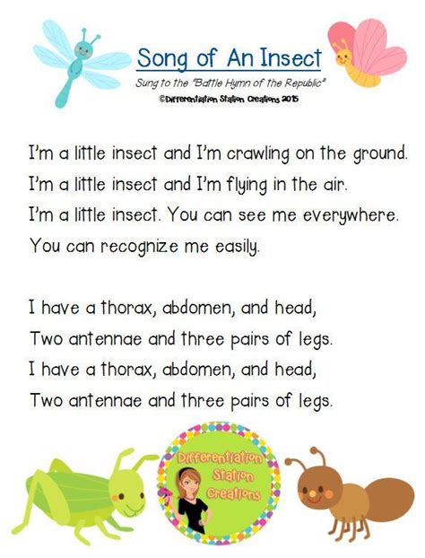 Image result for bug songs for preschool Insects Theme Preschool, Bugs Preschool, Preschool ...