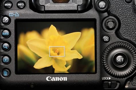 50 Canon camera tips: Everything you need to get the best out of your Canon DSLR | Digital ...