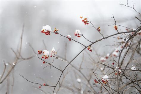 Bay County gearing up for high winds, blowing snow and even a flash ...