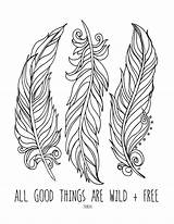 Feather Coloring Pages At GetColoringscom  Free Printable Colorings sketch template