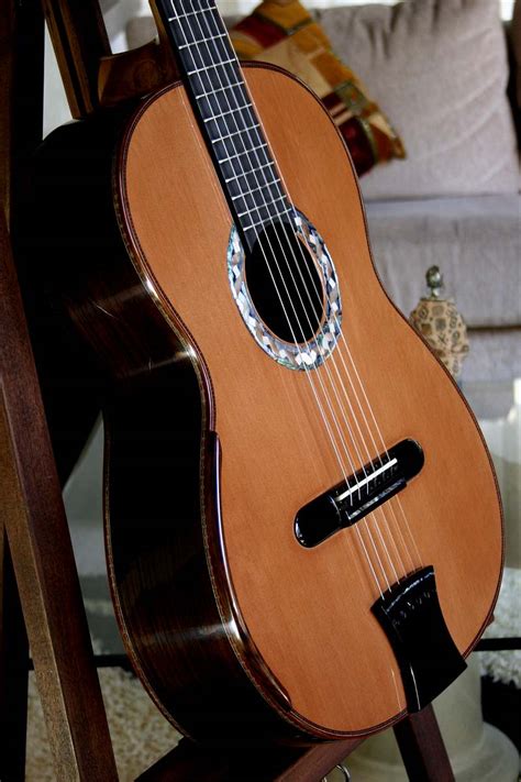 Brazilian Rosewood Concert guitar, September 9, 2010.