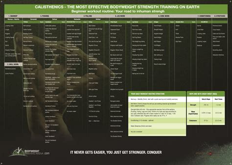 Calisthenics Fundamentals Course | Calisthenics Academy