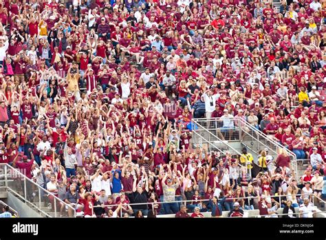 Stadium crowd hi-res stock photography and images - Alamy