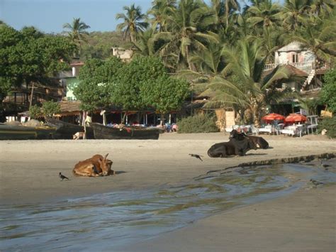 Universe Beauty: Arambol Beach, Goa, India