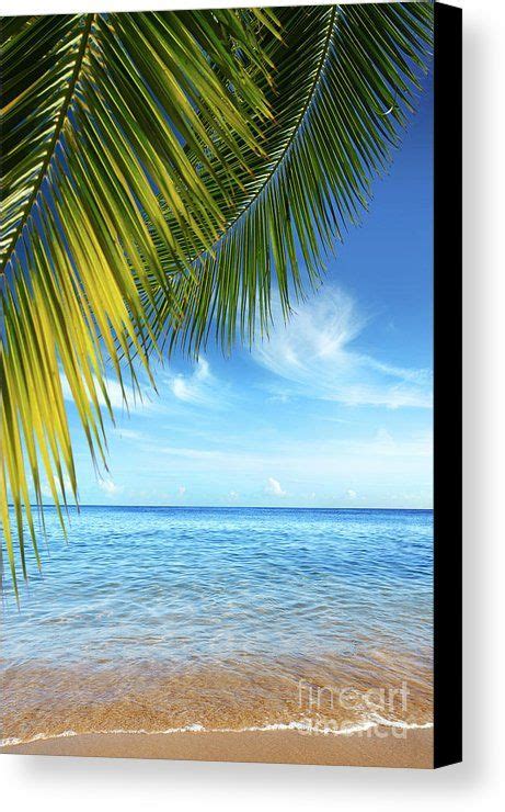 Tropical Beach Canvas Print / Canvas Art by Carlos Caetano | Tropical beach, Beach, Tropical beaches