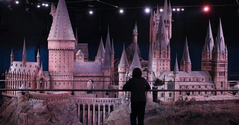 'Harry Potter' Fans in the College of Wizardry Rally to Purchase a Real ...