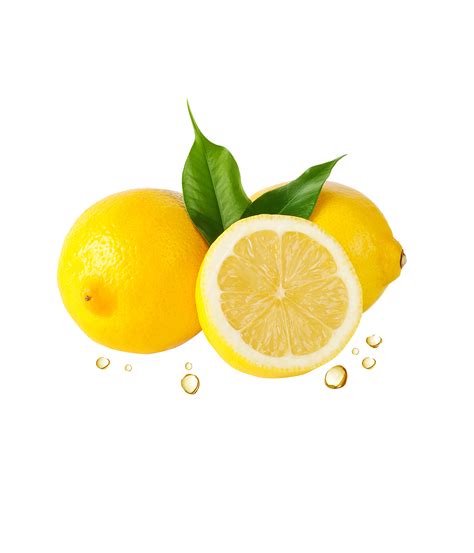 Lemon PNG | PNG All