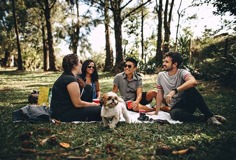 friends, picnic, park, dog, animal, people, male, female, man, woman ...