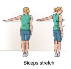 Biceps Tendonitis Exercise | New Health Advisor