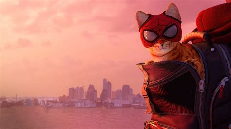 Download Cat Video Game Marvel's Spider-Man: Miles Morales 4k Ultra HD Wallpaper