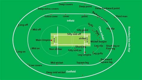 Cricket ground | Cricket, Cricket boundaries, Beginners guide