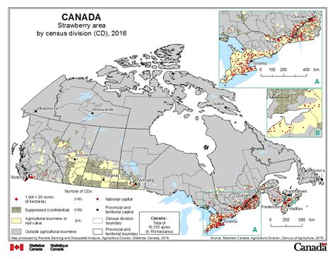 Strawberry area by census division (CD), 2016
