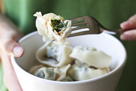 Shanghai-style Wontons » FreestyleFarm