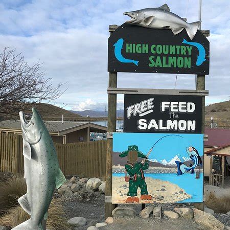 High Country Salmon (Twizel): 2019 All You Need to Know Before You Go (with PHOTOS)